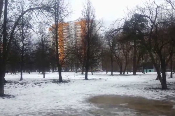 Даркнет вход