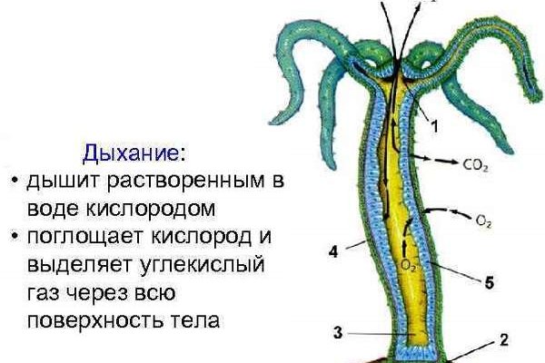 Доступ к сайту кракен