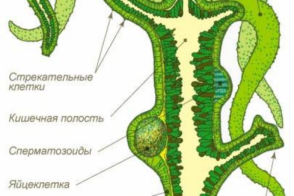 Ссылки на сайты в даркнете