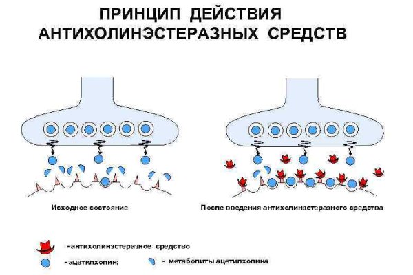 Как выводить деньги с кракена